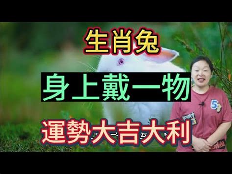 屬兔塔位座向|【屬兔塔位座向】屬兔人注意！納骨塔位風水指南，助。